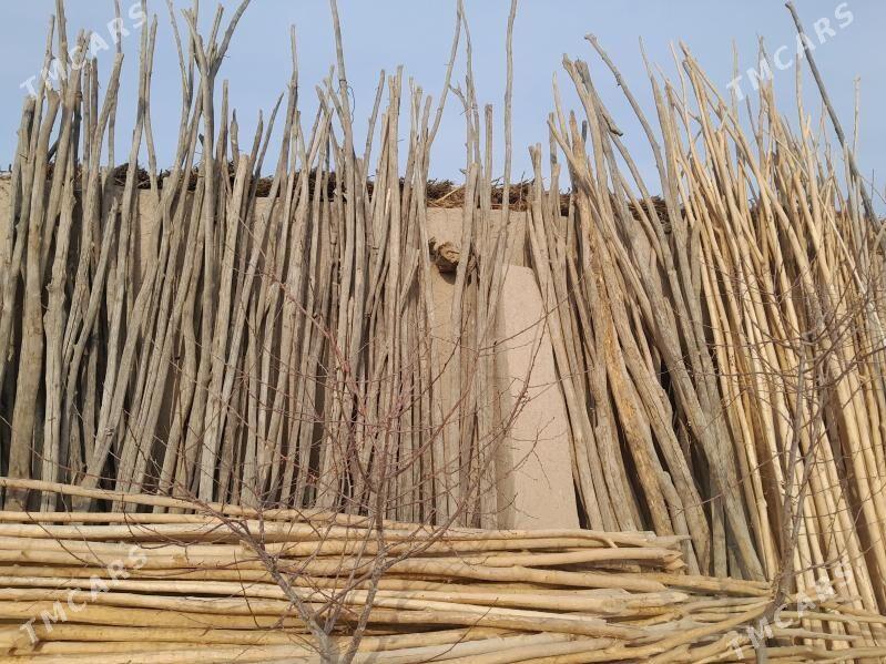 hada - Гурбансолтан Едже - img 1