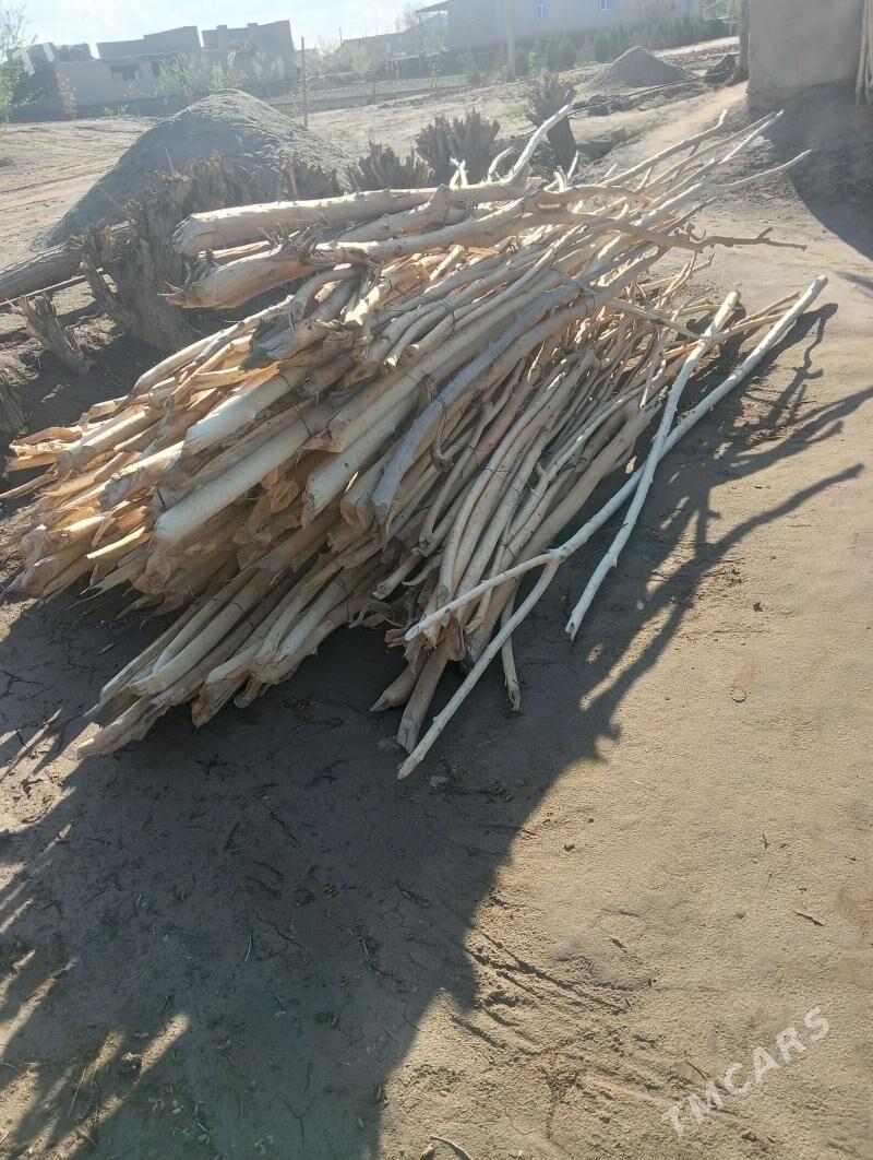 hada - Дашогуз - img 1