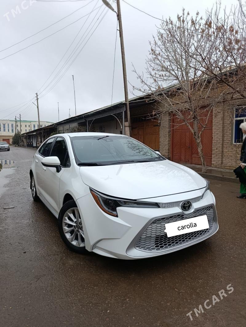 Toyota Corolla 2020 - 260 000 TMT - Дашогуз - img 1
