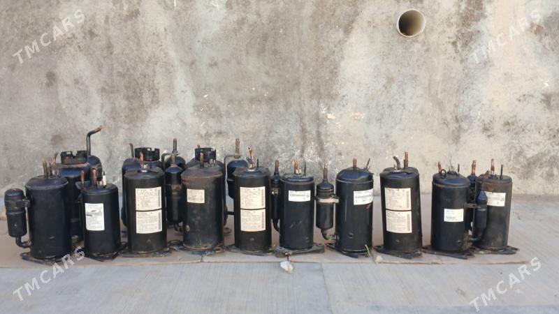 Kandisaner matorlar - Baýramaly - img 1