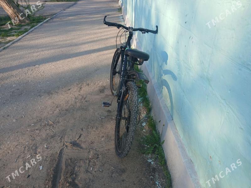 welık - Balkanabat - img 1