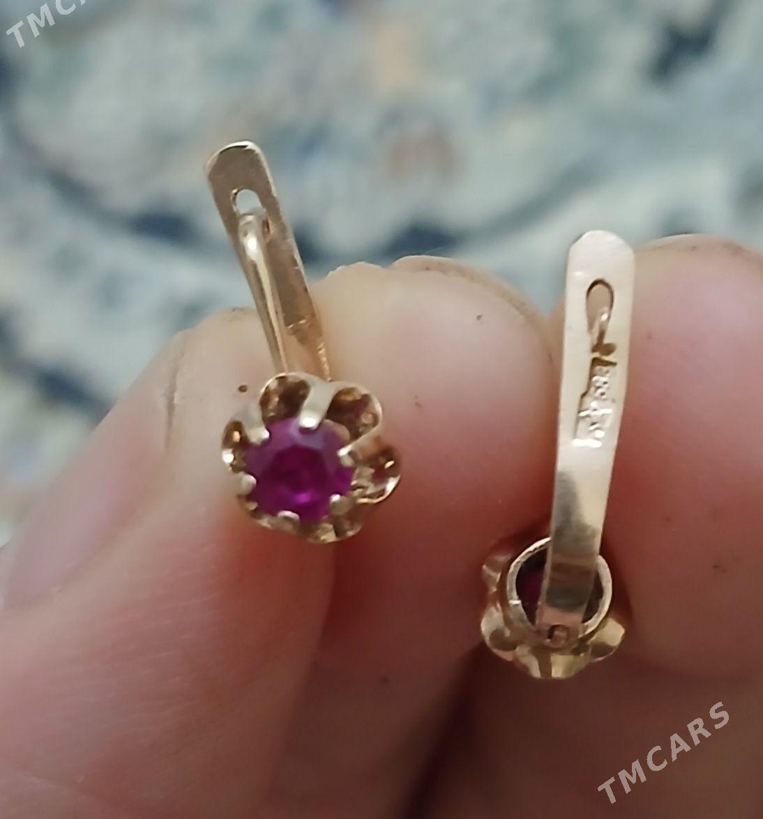 Gyzyl gulakhalka çagan̈ky - Ашхабад - img 1