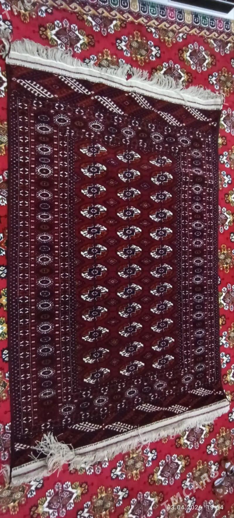 Haly - Гызыларбат - img 1