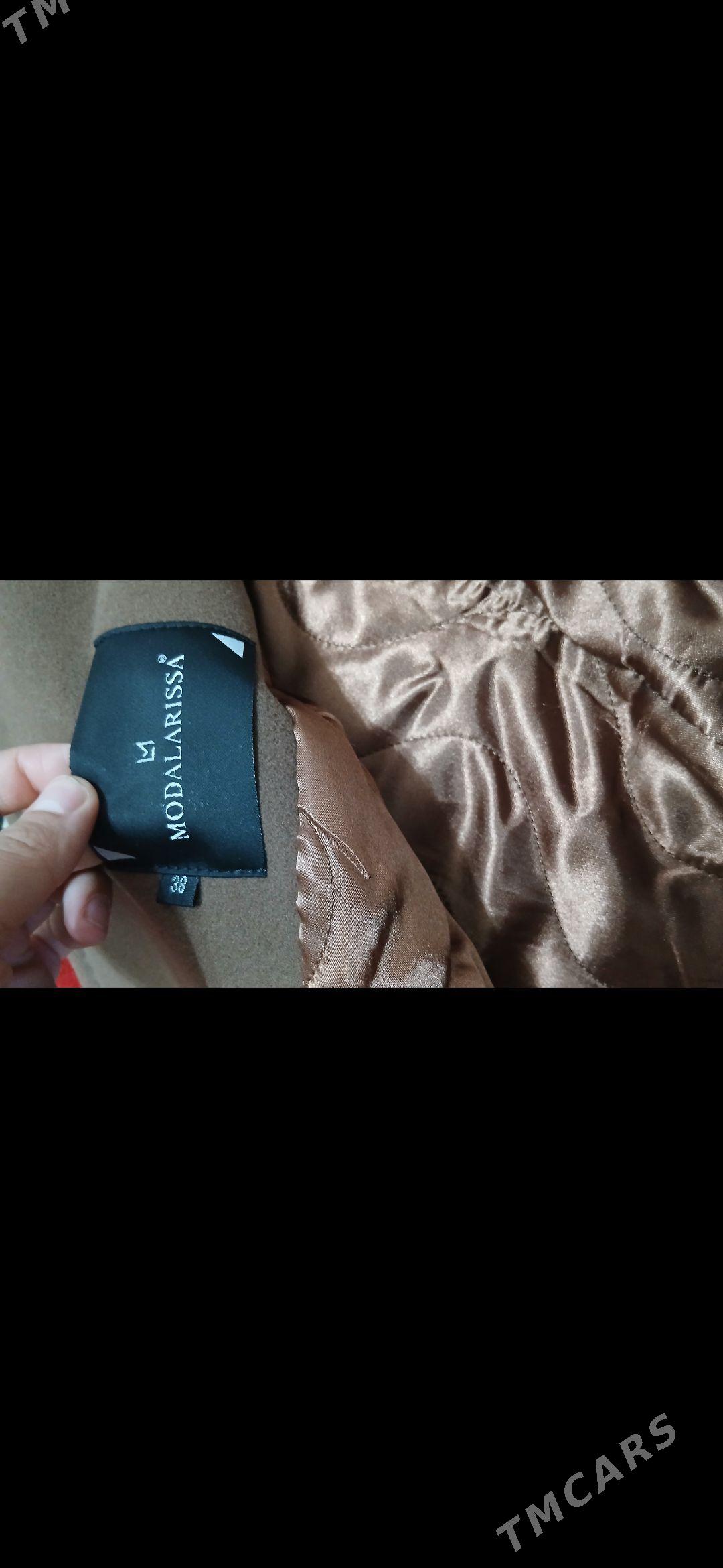 Palto - Daşoguz - img 1