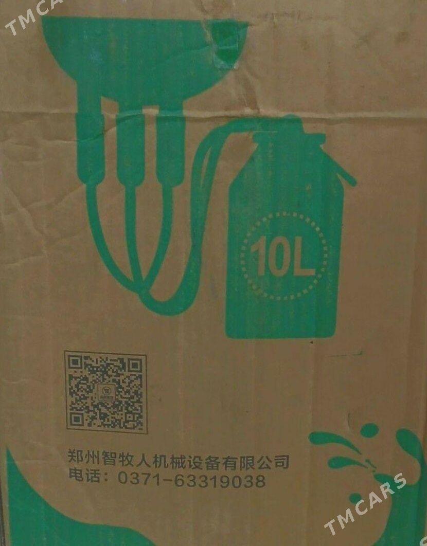 sygyr sagýan enjam - Ашхабад - img 1