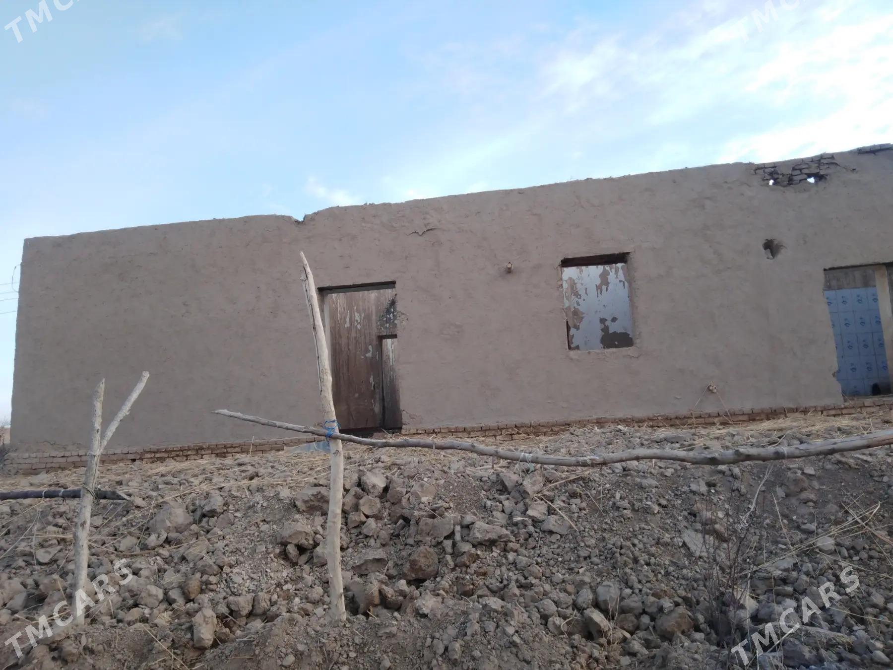 satlyk jay - Görogly (Tagta) - img 1