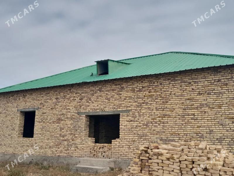 Jay - Boldumsaz - img 1