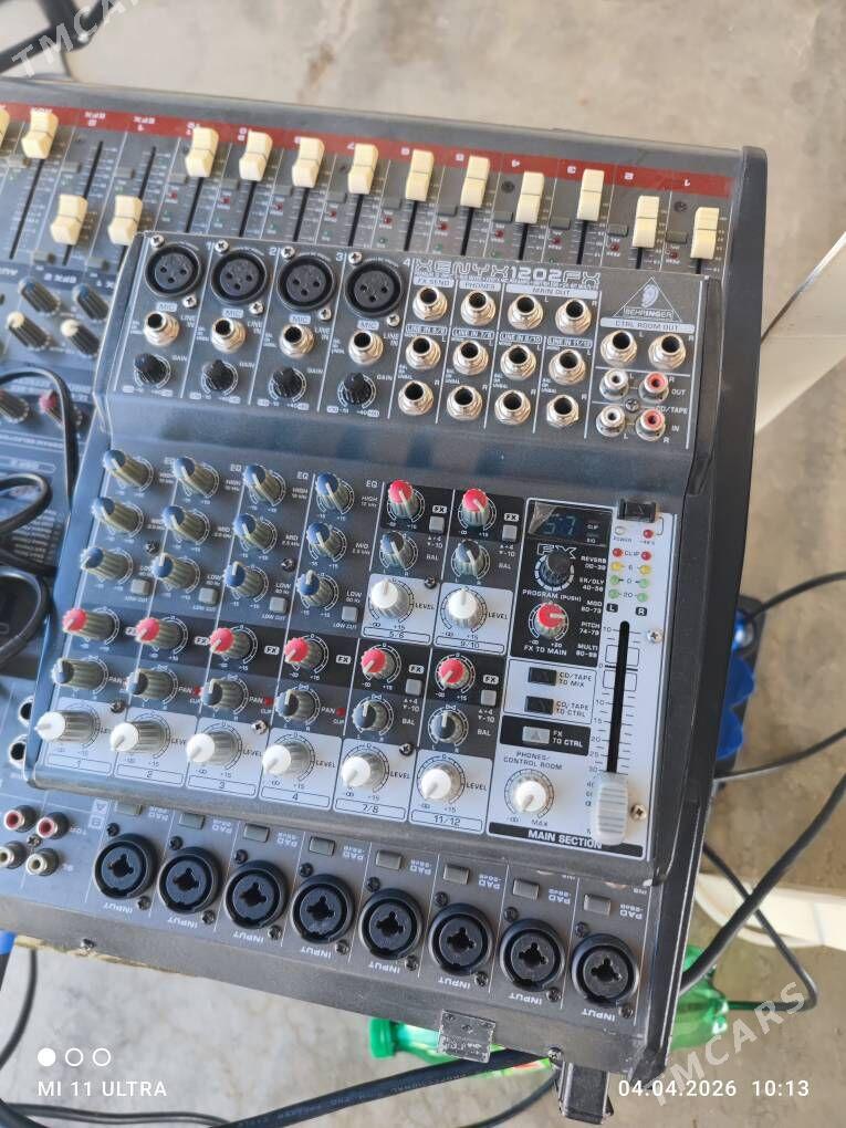 pult. kici behrenjr - Mary - img 1