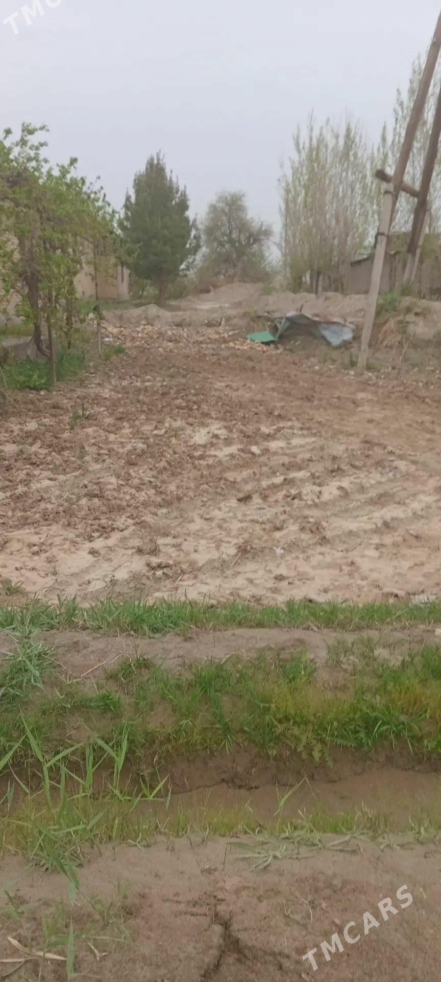 satlyk melak bar - Туркменабат - img 1