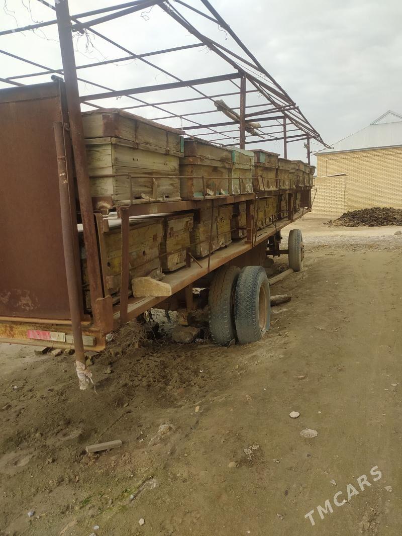 Voyah Passion 1987 - 35 000 TMT - Mary - img 1