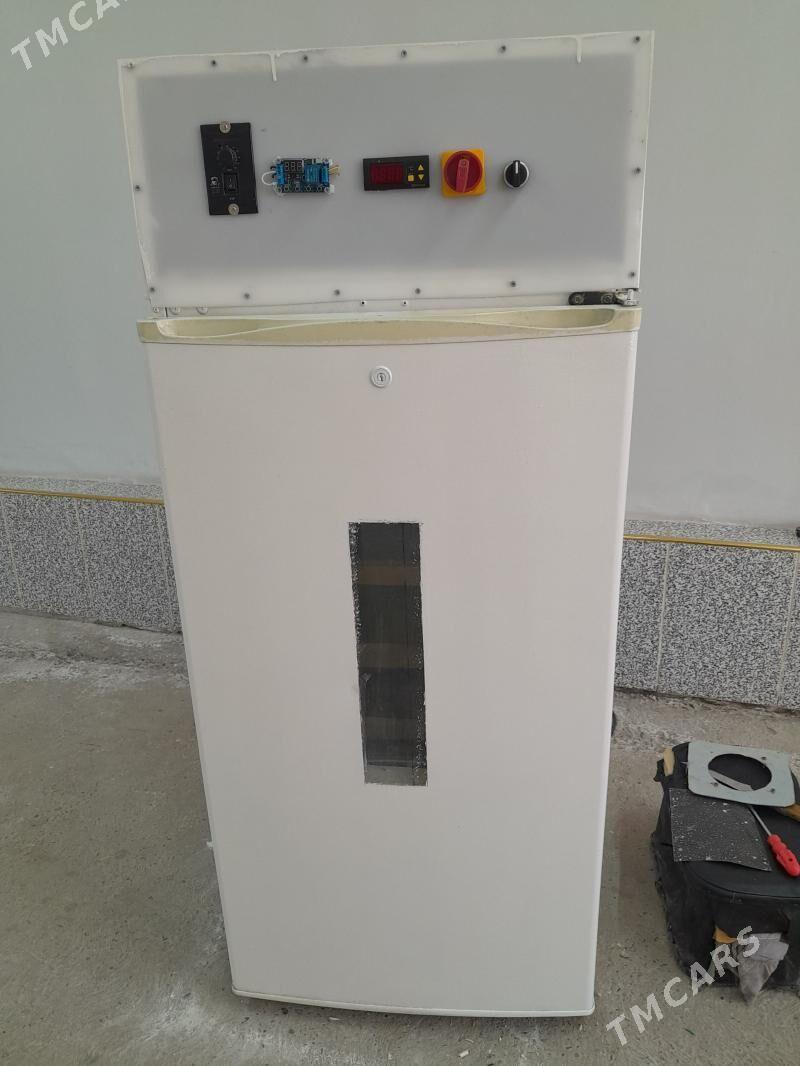 inkubatr - Туркменабат - img 1