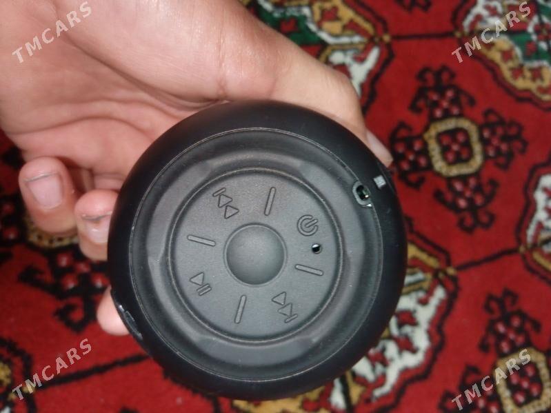 Kalonka - Türkmenabat - img 1