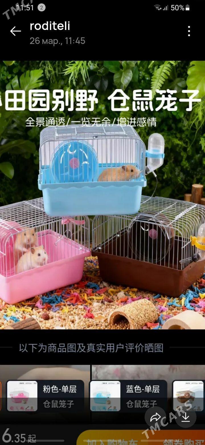 хомяк клетка - Ашхабад - img 1