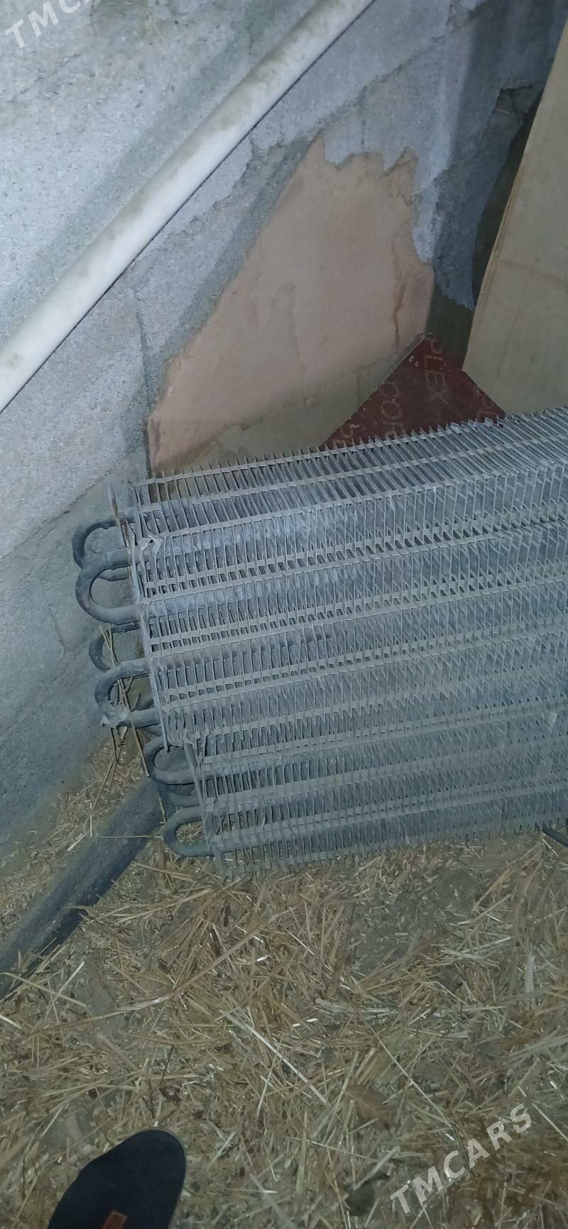 маразиник - Бузмеин - img 1