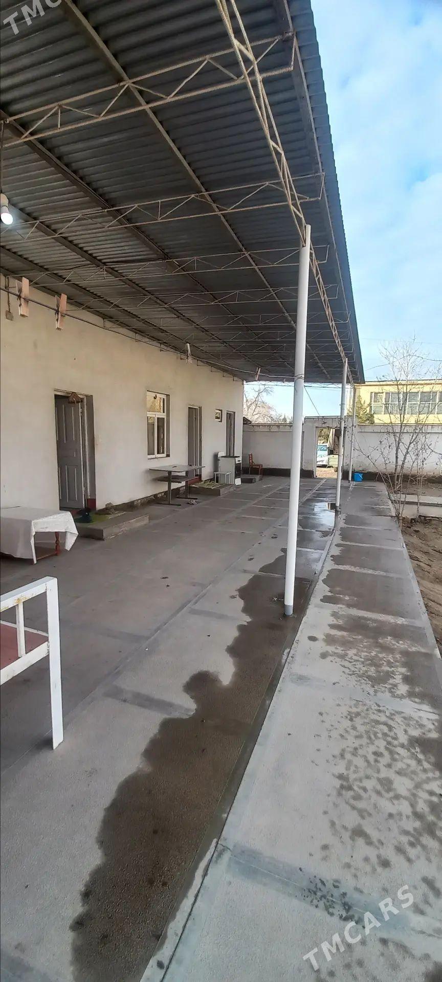 arenda jay howly - Mary - img 1