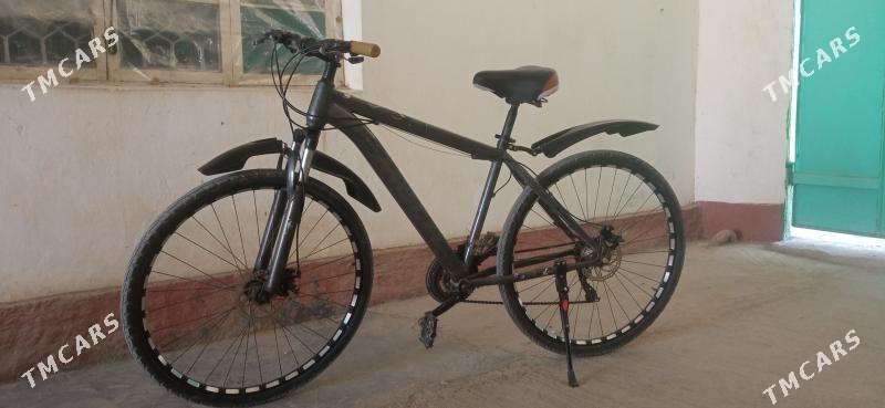 tigir 29lik - Änew - img 1