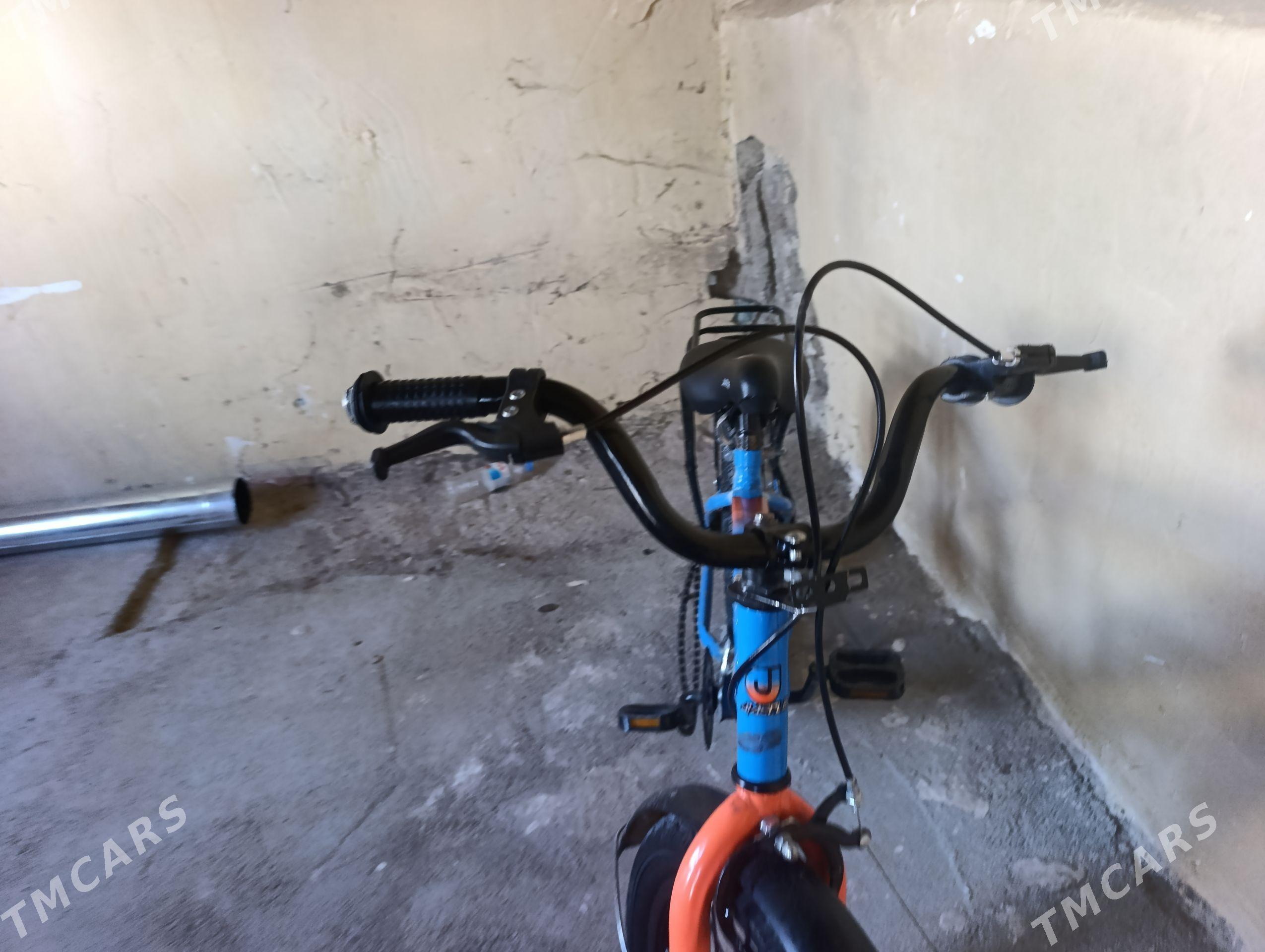 Tigir - Хитровка - img 1