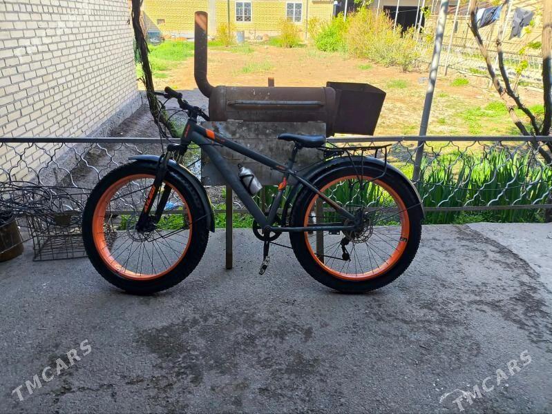 AleqiAleqi - Dänew - img 1