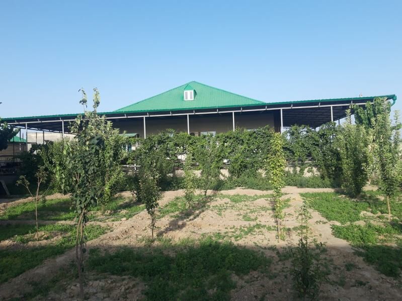 Gökdepe etrap - Бузмеин - img 1