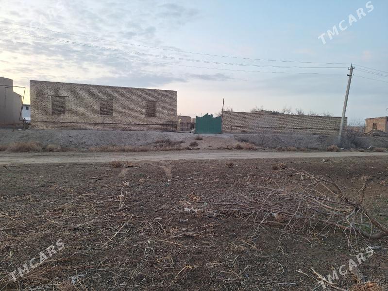 Satlyk Jay melek Satlyk Jay - Farap - img 1