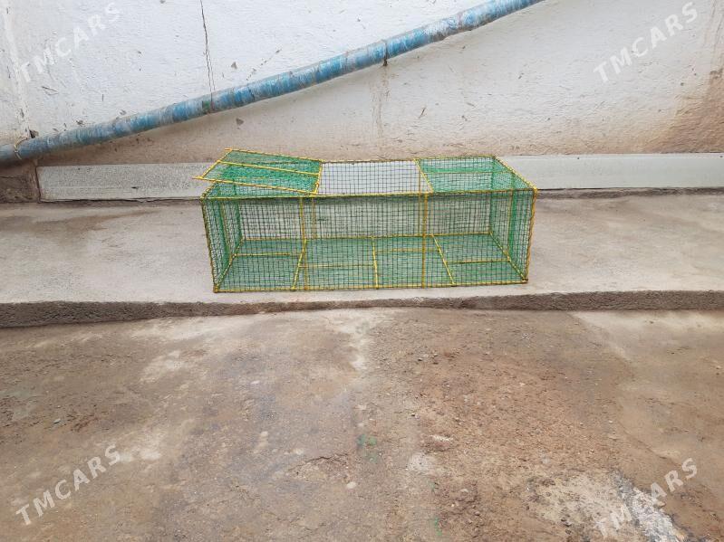 setka - Daşoguz - img 1