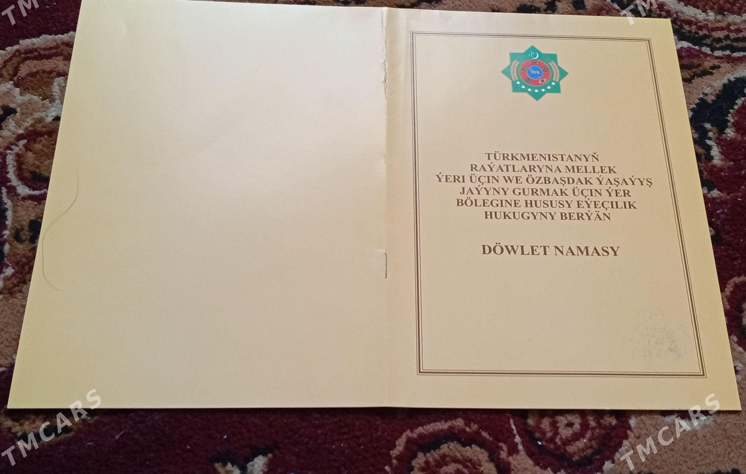 satlyan jay Panhanda - Daşoguz - img 1