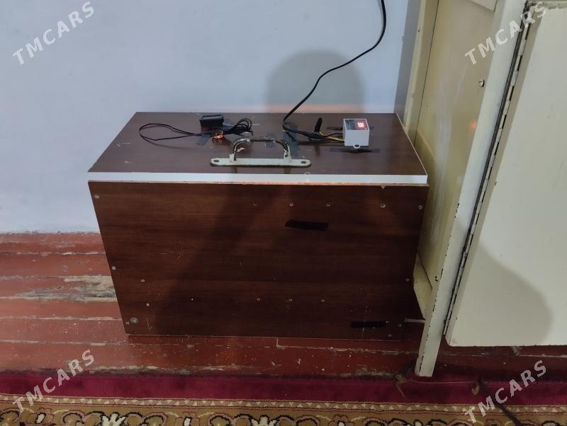 inkubator - Гумдаг - img 1