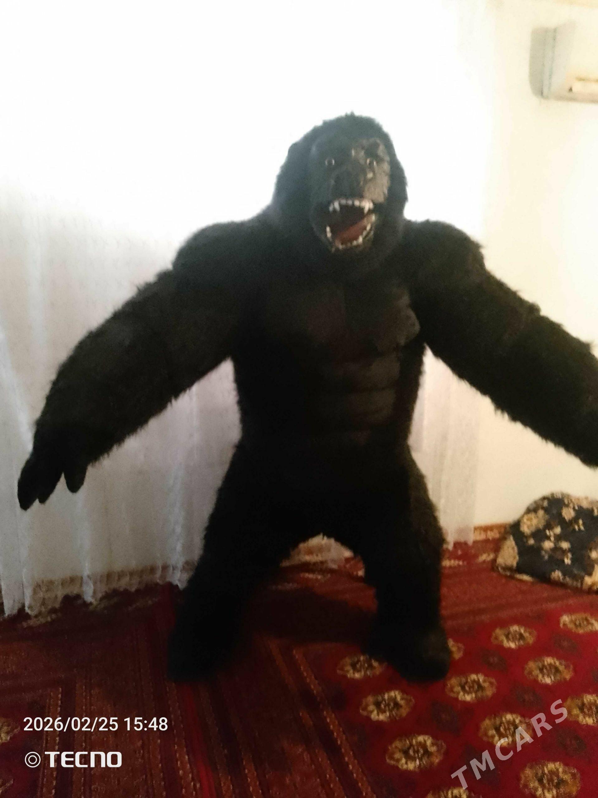 mışkalar.amatly bahadan - Байрамали - img 1