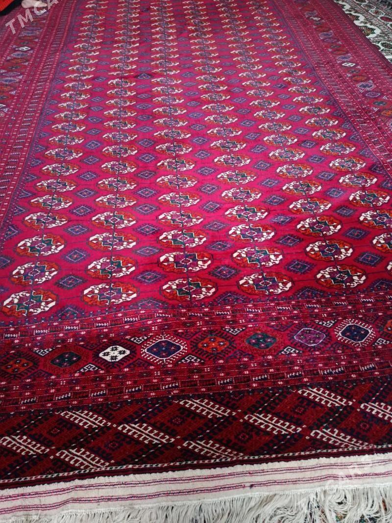 El haly - Ашхабад - img 1