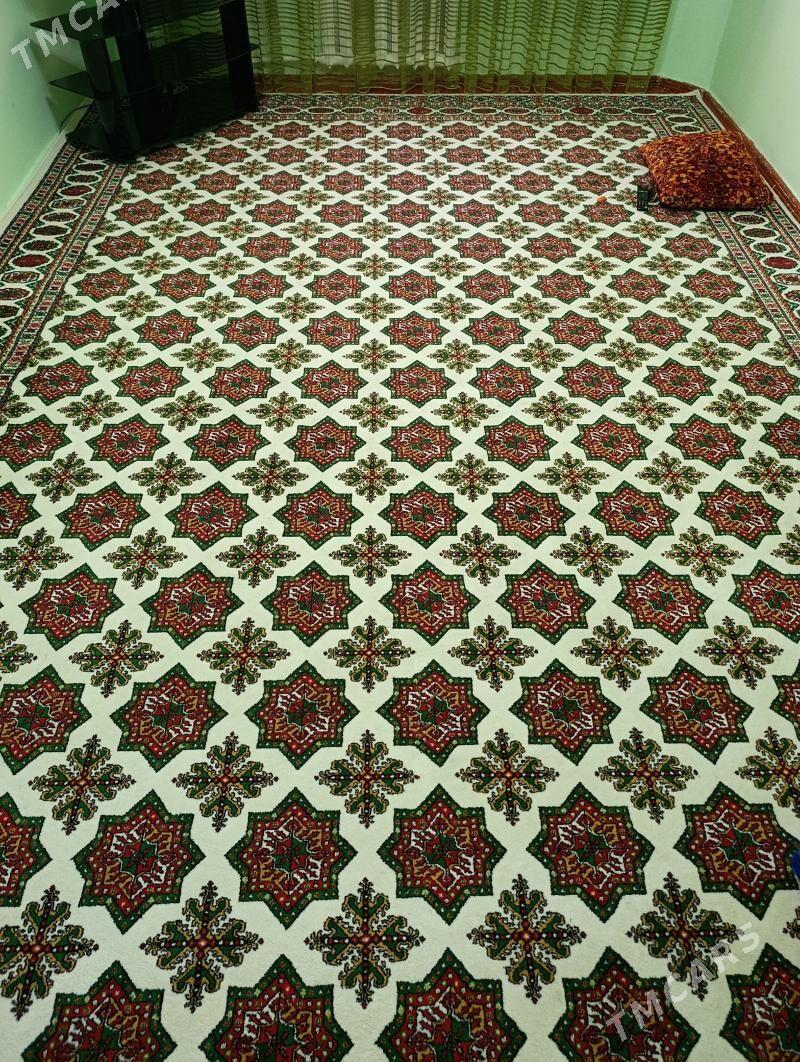 Haly - Дашогуз - img 1