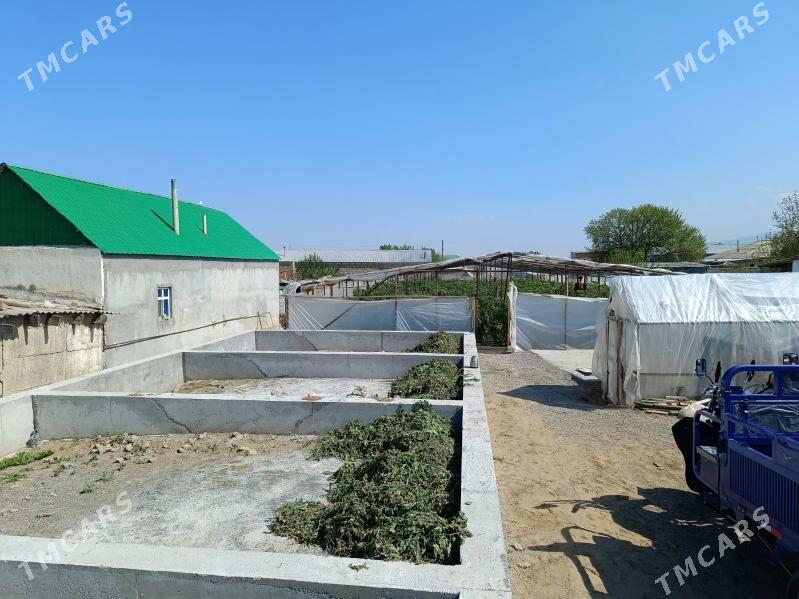 Mellek yer - Гёкдепе - img 1