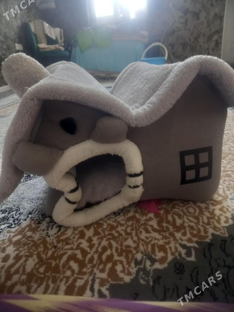 domyk pişik üçin - Бузмеин - img 1