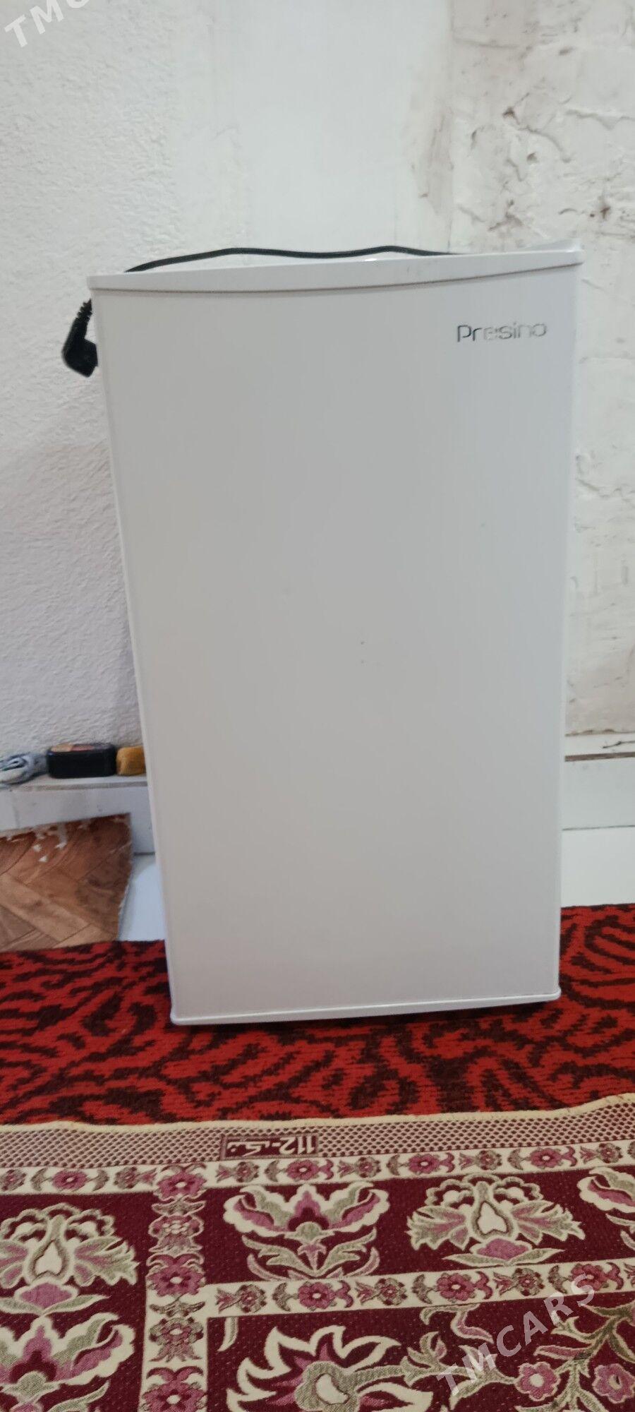 haladynyk talyp - Анев - img 1