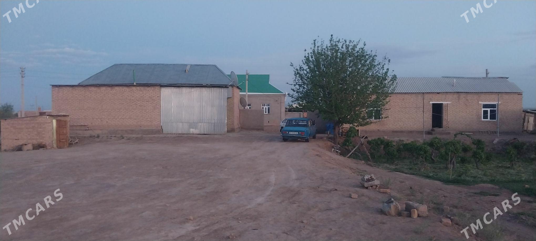 jay satlyk - Babadaýhan - img 1