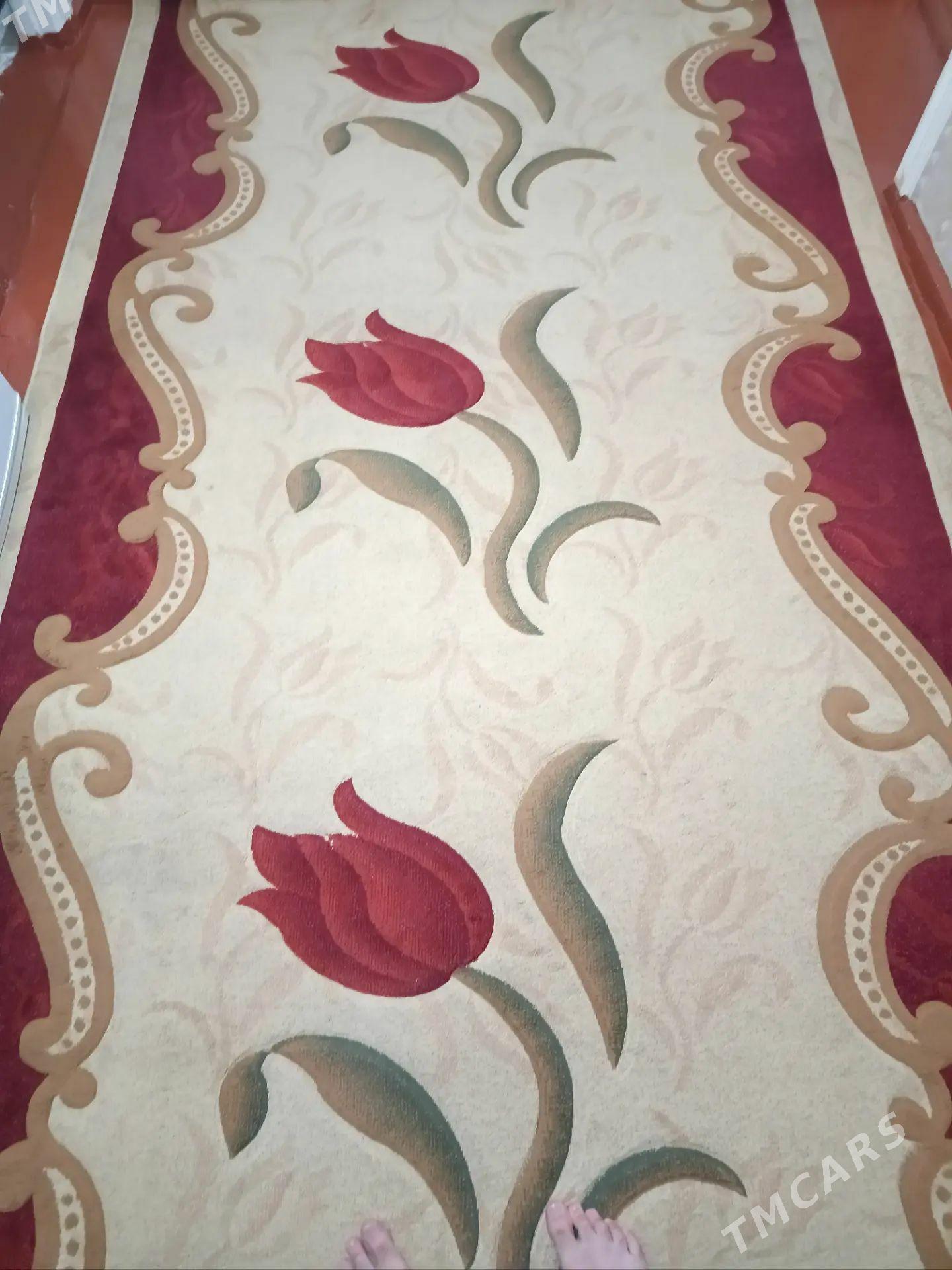 haly - Балканабат - img 1