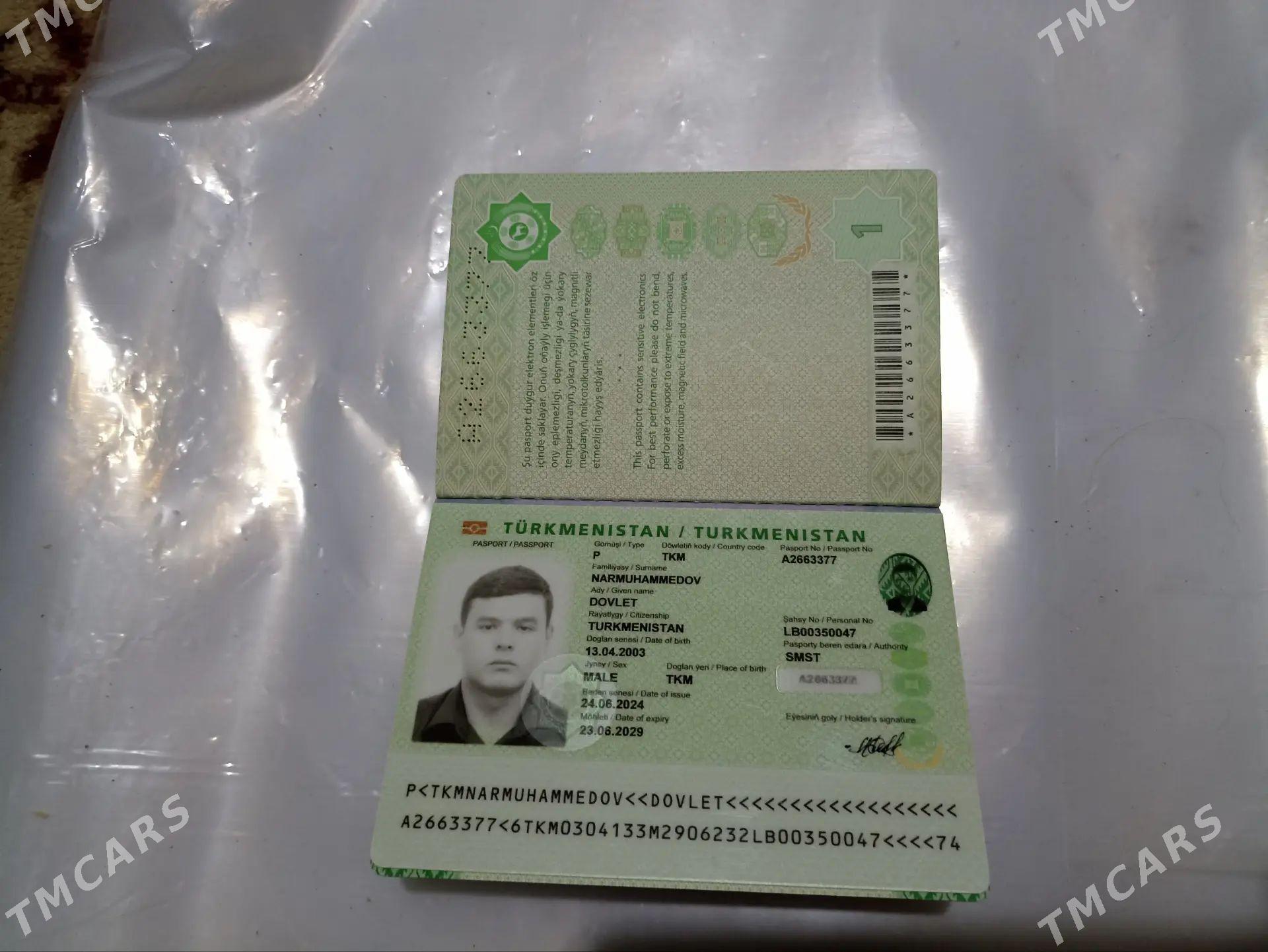 Zagran pasport - Фарап - img 1