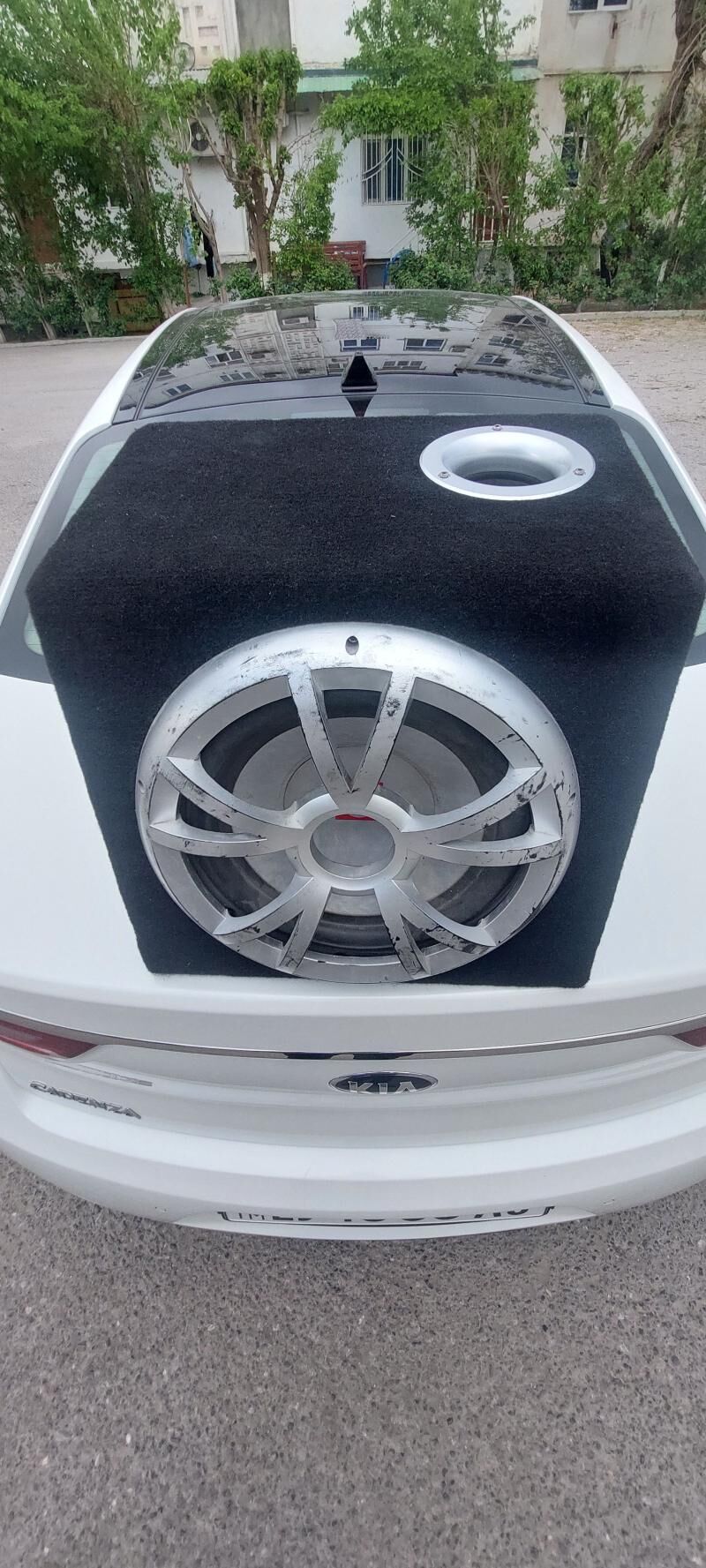 SAMBUFER SALAMON 2 500 TMT - Ашхабад - img 1