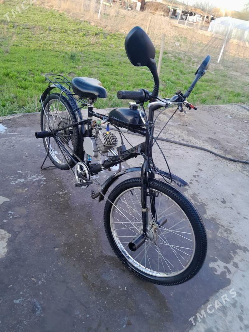 Velik matot - Türkmenabat - img 1