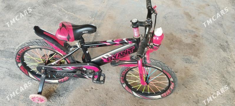 weliseped - Мары - img 1