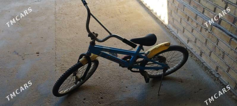 weliseped - Мары - img 1