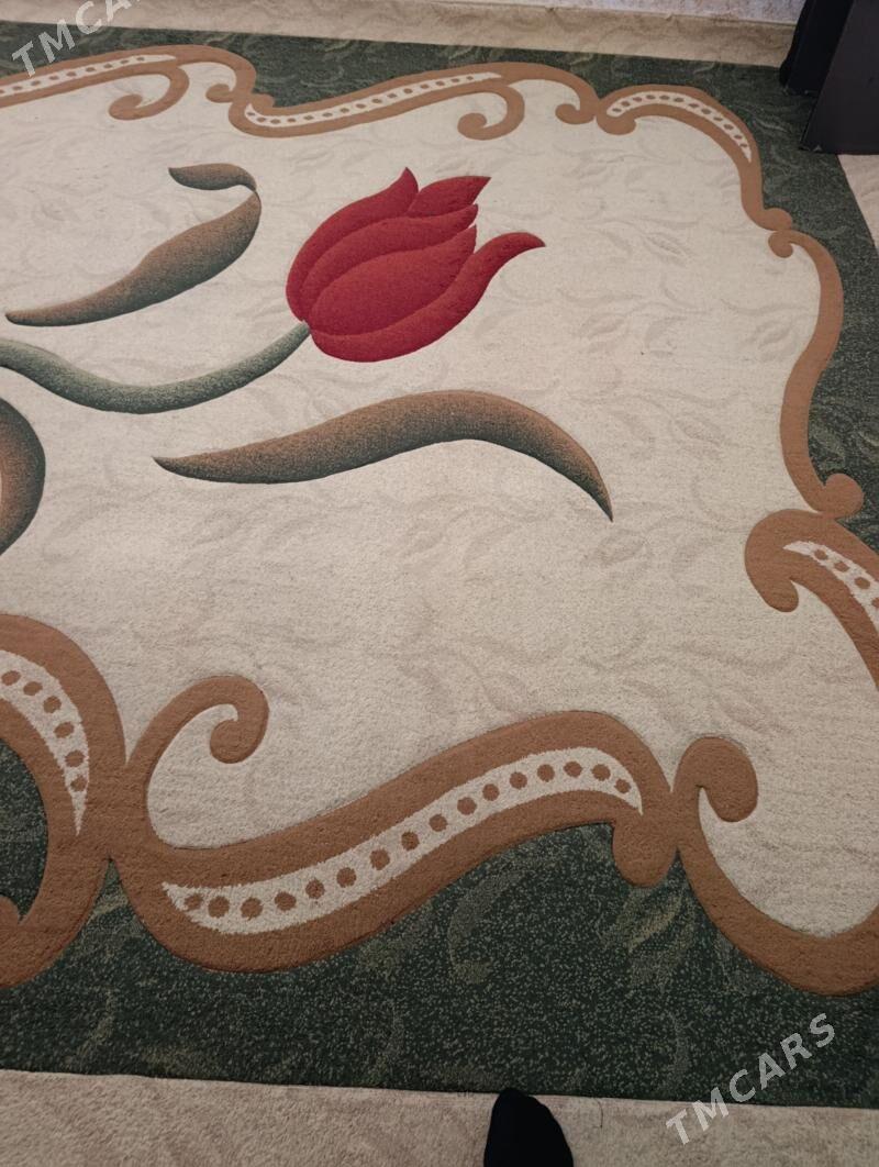 Haly - Хитровка - img 1