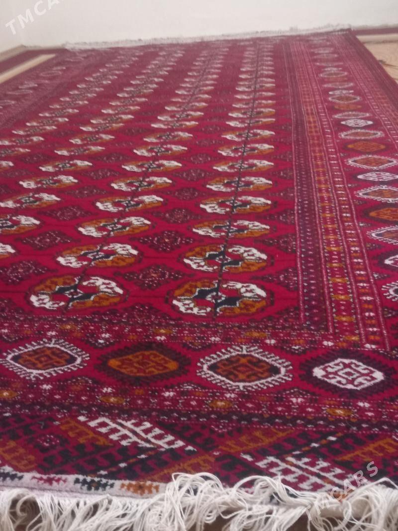 Elde dokalan el Haly - Bäherden - img 1