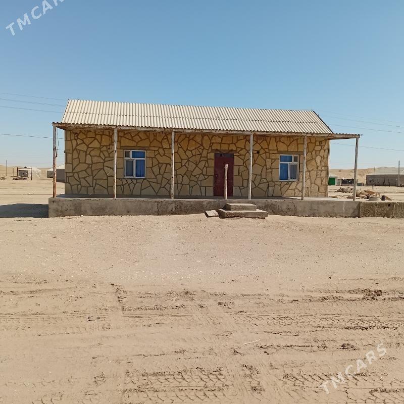 Jaý bugdaýly - Esenguly - img 1