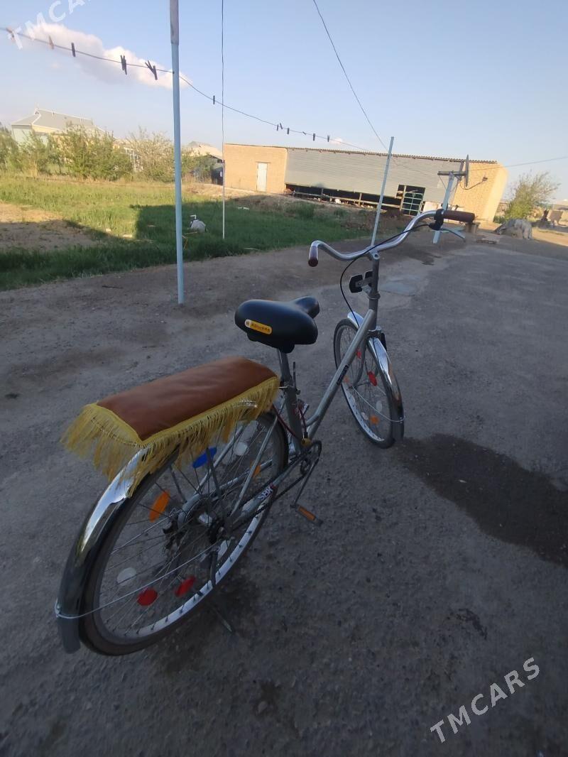 Tiger - Mary - img 1