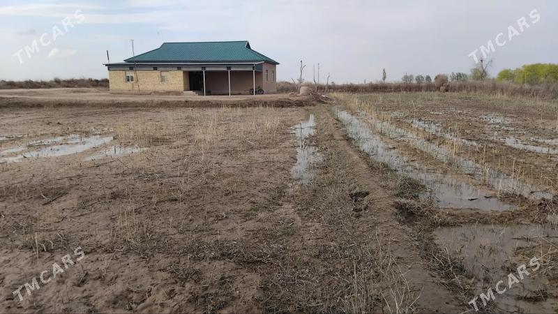 satlyk jay - етр. Туркменбаши - img 1