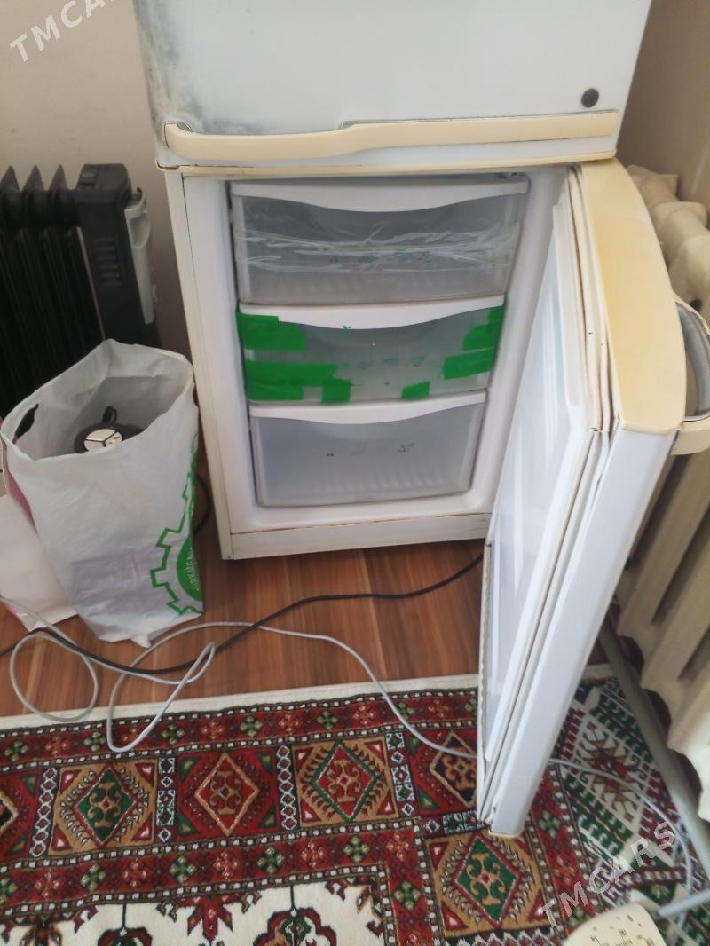 haladynyk - Murgap - img 1