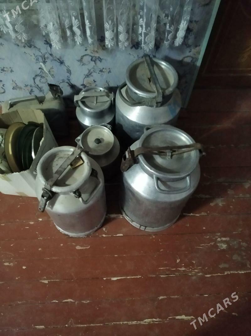 филяклар - Туркменабат - img 1