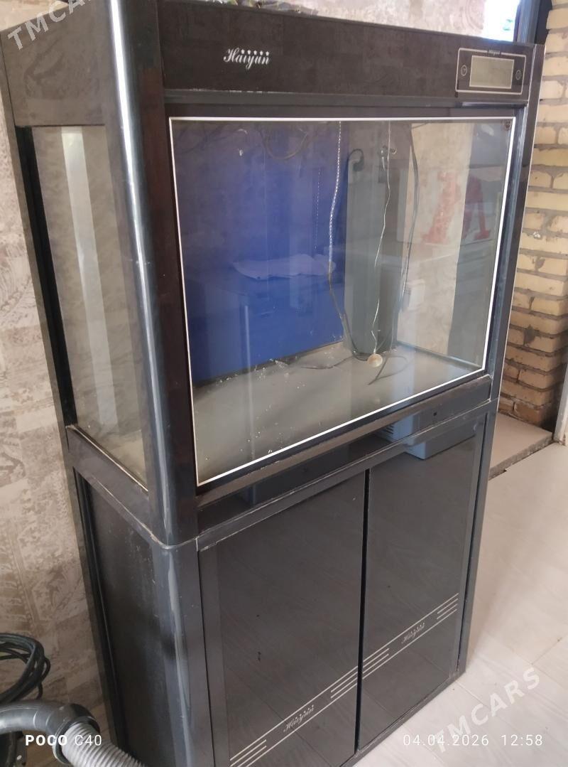 Аквариум - Çärjew - img 1