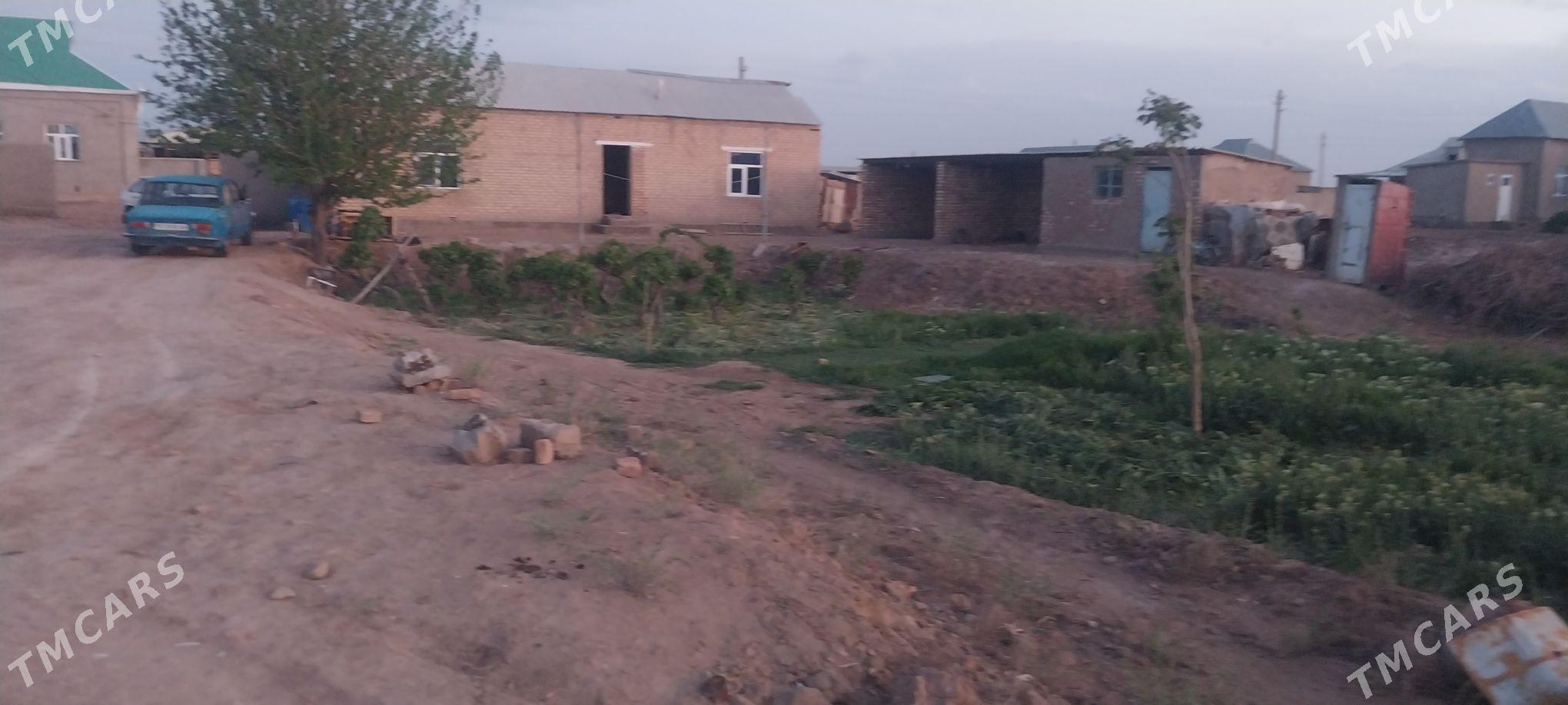 jay satlyk - Бабадайхан - img 1