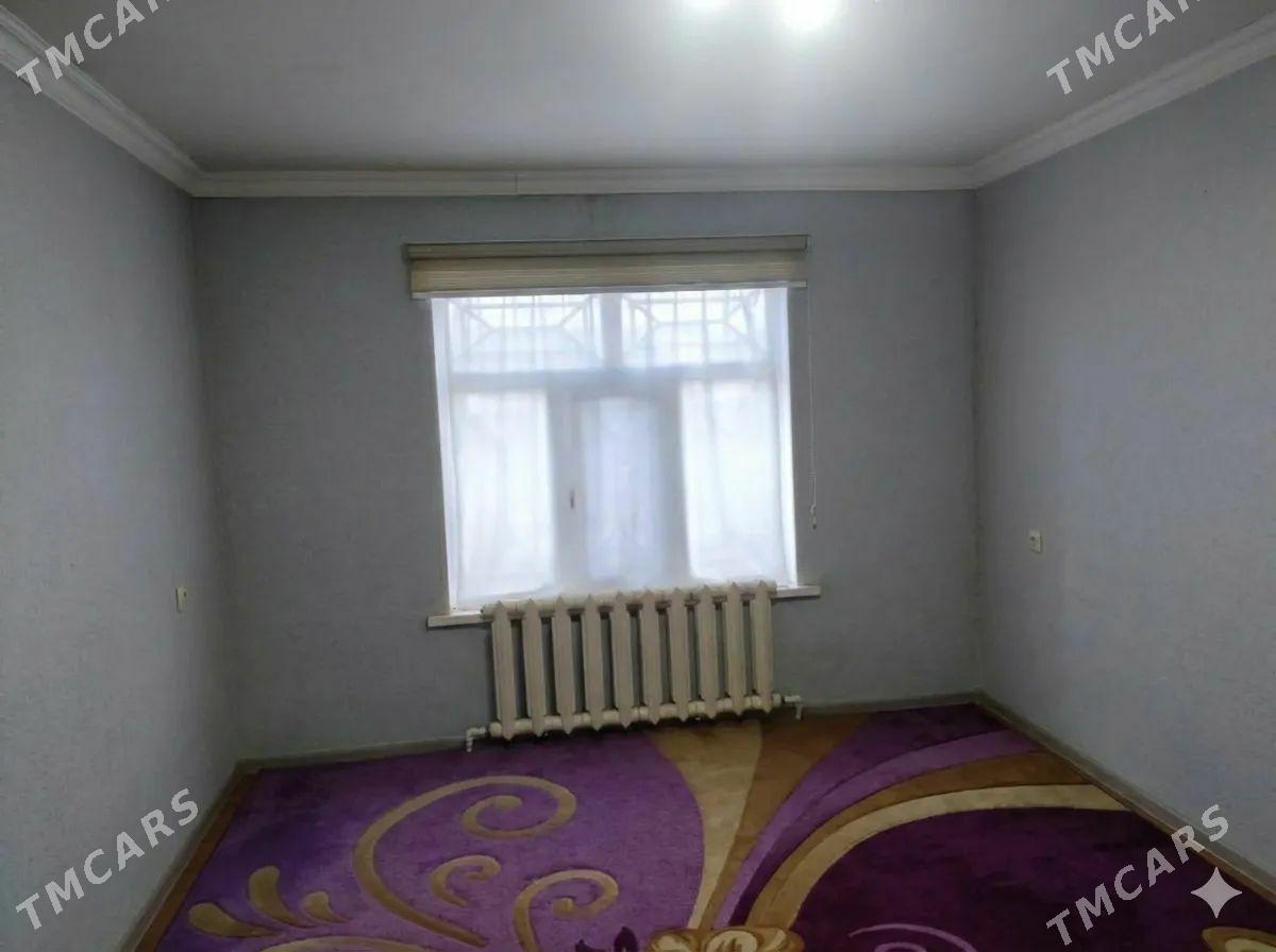 Arenda jay - Mary - img 1